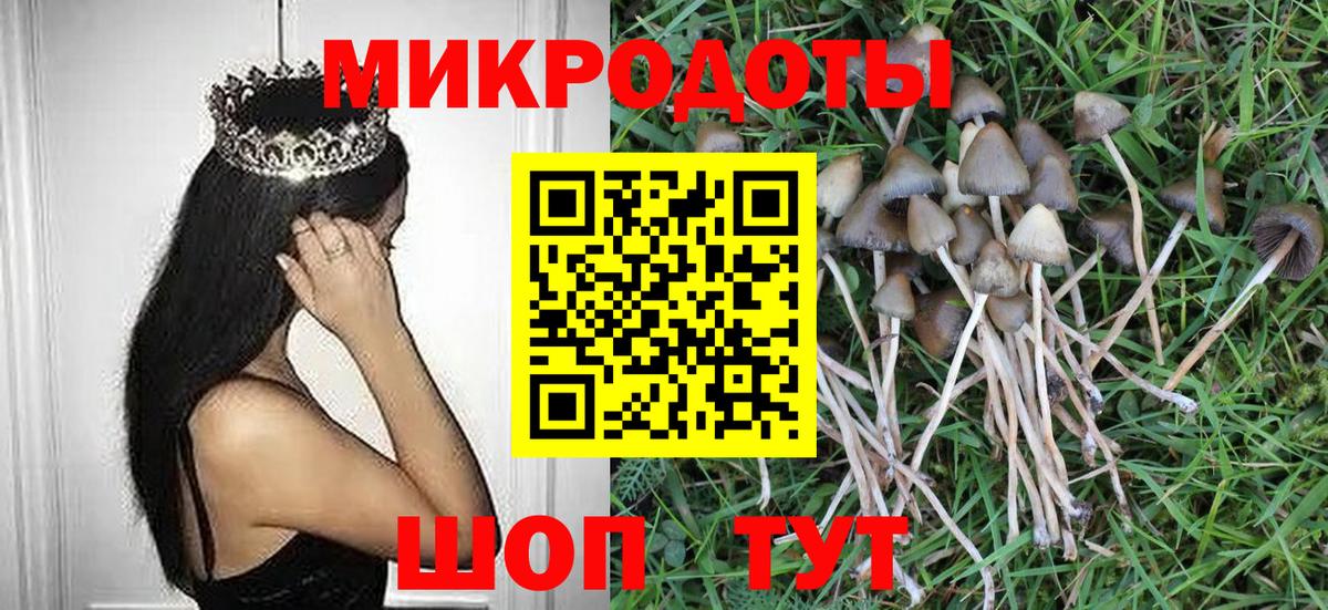 Псилоцибиновые грибы Cubensis Шелехов